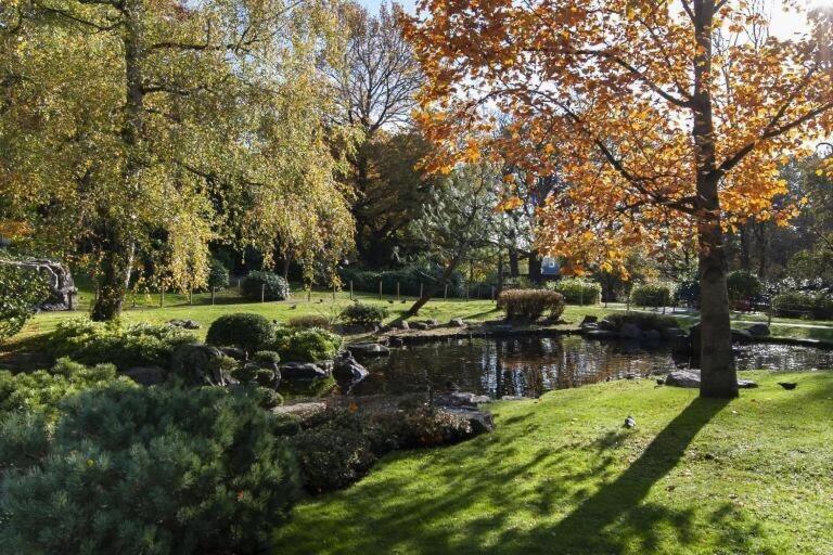 1-Bed Apartment, Close To Kensington Olympia With Free Wi-Fi & Netflix London Exteriör bild